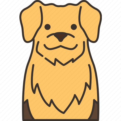 Golden, retriever, canine, puppy, cute icon - Download on Iconfinder