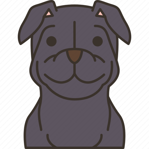 Pitbull, hound, canine, pet, purebred icon - Download on Iconfinder