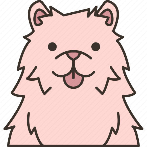Samoyed, canine, breed, pedigree, pet icon - Download on Iconfinder