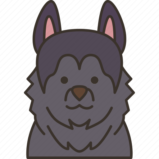 Siberian, husky, canine, dog, purebred icon - Download on Iconfinder