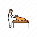 dog, pet, medical, examination, check, up