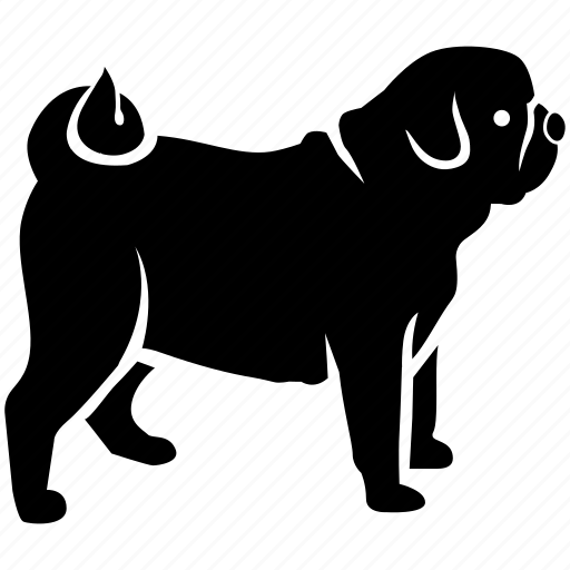 Bulldog, canine, dog, house, pet, pug icon - Download on Iconfinder