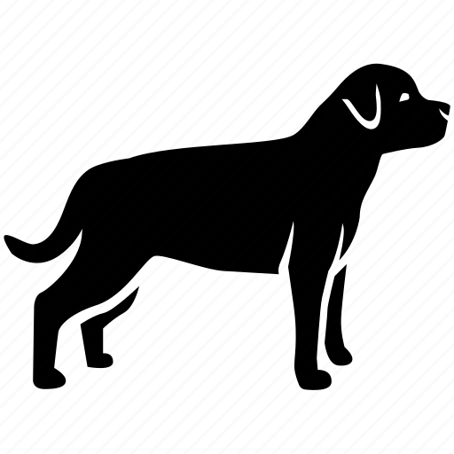 Dog, german, guard, hound, kennel, pet, rottweiler icon - Download on Iconfinder
