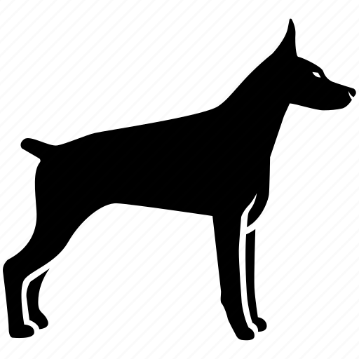 Doberman, dobermann, dog, domestic, guard, hound, pinscher icon - Download on Iconfinder