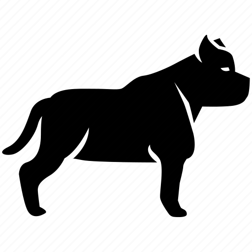 Bull, bulldog, dog, fighting, pit, pitbull, terrier icon - Download on Iconfinder
