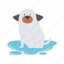 puddle, water, dog, flat, icon, bath, wash, grooming, puppy
