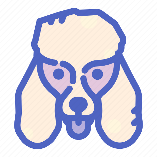 Animal, canine, dog, dogs, face, pet, poodle icon - Download on Iconfinder