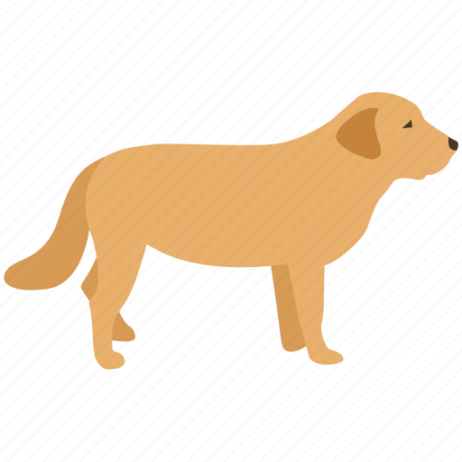Dog, domestic, guide, labrador, pet, retriever, therapy icon - Download on Iconfinder