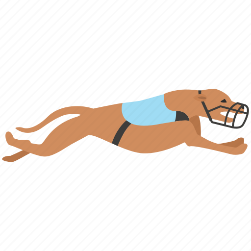 Dog, english, grayhound, greyhound, hound, races, racing icon - Download on Iconfinder
