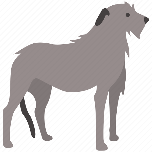 Breed, dog, hound, hunting, irish, wolf, wolfhound icon - Download on Iconfinder