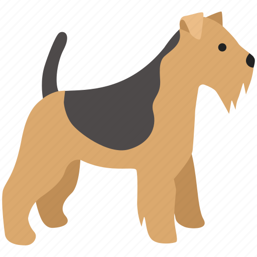 Airedale, border, dog, pet, scottish, terrier, wire fox icon - Download on Iconfinder