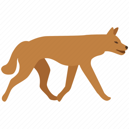 Australia, canine, dingo, dog, feral, fox, wild icon - Download on Iconfinder
