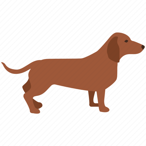 Dachshund, dash, dashound, dog, hound, sausage, wiener icon - Download on Iconfinder