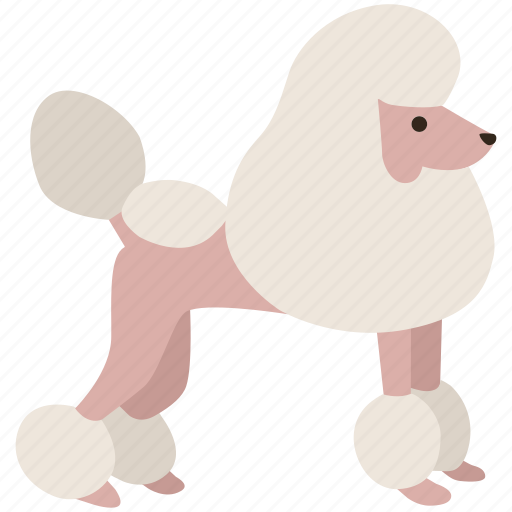 Breed, canine, dog, pet, poodle, show, toy icon - Download on Iconfinder
