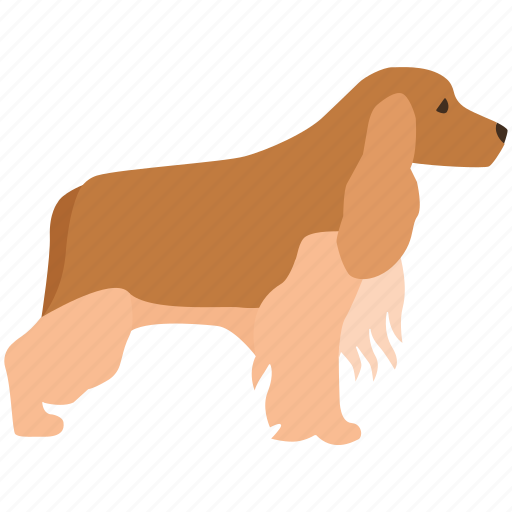 Cocker spaniel, dog, english, field, gun, show icon - Download on Iconfinder