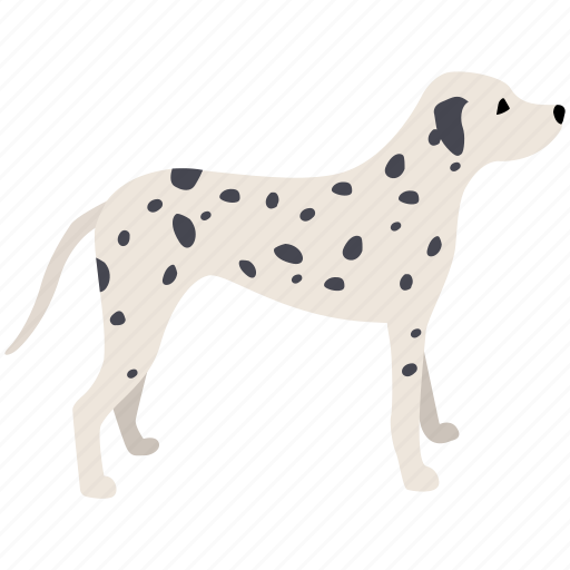 Breed, canine, dalmation, dog, hound, pet, spotted icon - Download on Iconfinder