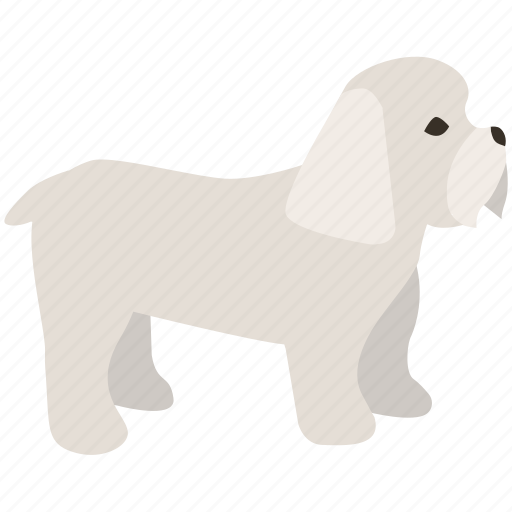 Cute, dog, maltese, puppy, shihtzu, terrier, toy icon - Download on Iconfinder