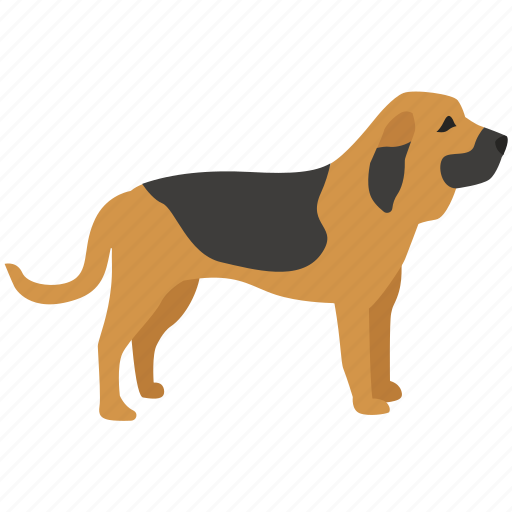 Blood, bloodhound, dog, hound, sniffer, tracking icon - Download on Iconfinder