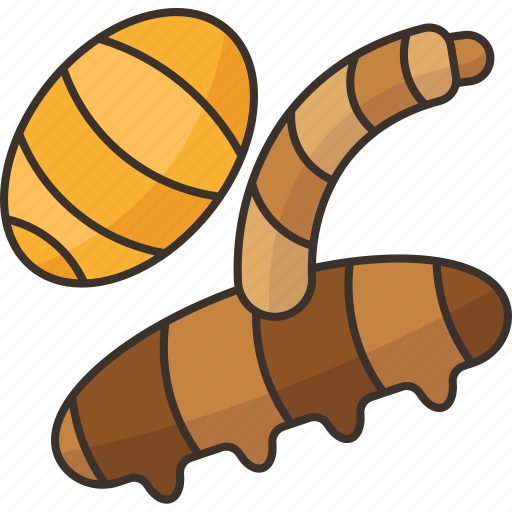 Insects, edible, fried, snack, protein icon - Download on Iconfinder