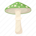 drug, hallucinogenic, mushroom