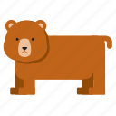 animal, bear, brown
