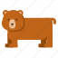 animal, bear, brown 
