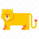 animal, lion, safari