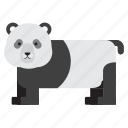 animal, panda, zoo