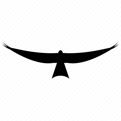 Eagle, eagle emblem, flying eagle, hawk, kite falcon icon - Download on Iconfinder