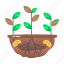 root, rot, plant, disease, decay, spoilage, destruction 
