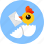 chick, egg, letter 
