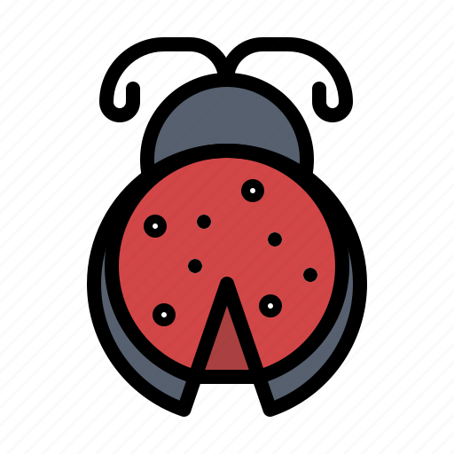 Bug, insect, ladybug, spring icon - Download on Iconfinder