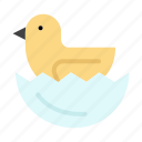 duck, easter, egg