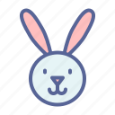 animal, bunny, cute, rabbit