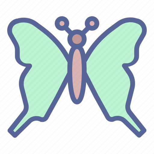 Butterfly, easter, spring, summer icon - Download on Iconfinder