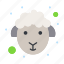 easter, face, lamb, sheep 