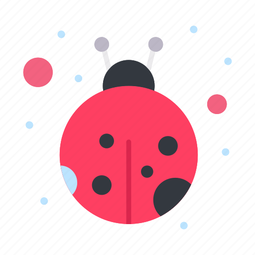 Beetle, bug, insect, lady icon - Download on Iconfinder