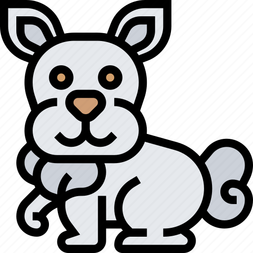 Bunny, easter, animal, cute, pet icon - Download on Iconfinder