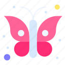 animal, butterfly, insect, serenity, papillon