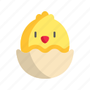 chicken, easter, bird, egg