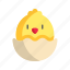 chicken, easter, bird, egg 