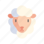 sheep, lamb, animal, pet 