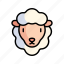 sheep, lamb, animal, zoo 
