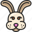 rabbit, animal, rodents, bunny, hare, wildlife 