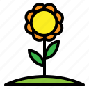 easter, flower, garden, plant, spring, sunflower 