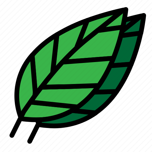 Easter, green, leaf, nature, spring icon - Download on Iconfinder