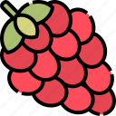 grape, fruit, berry, food