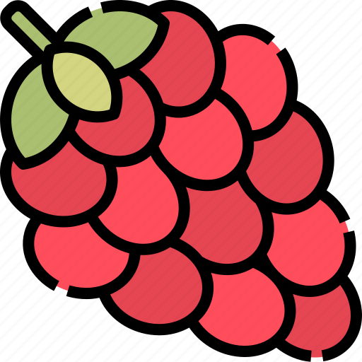 Grape, fruit, berry, food icon - Download on Iconfinder