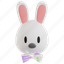 rabbit, head, white rabbit, bunny, cute 