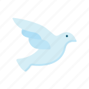 dove, peace, nature, bird, freedom, hope, love, birds